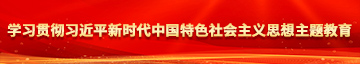 女人操大吊学习贯彻习近平新时代中国特色社会主义思想主题教育