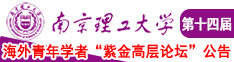 操屄综合南京理工大学第十四届海外青年学者紫金论坛诚邀海内外英才！